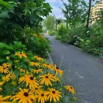 Apartman Luxury 2 Bedroom *