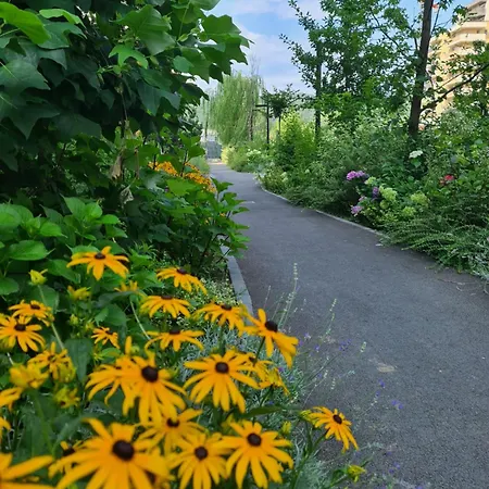 Apartamento Luxury 2 Bedroom *