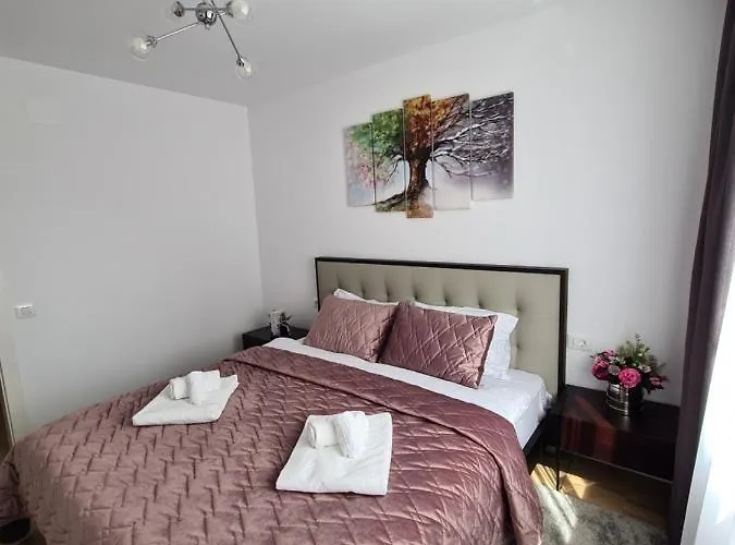 Apartment Luxury 2 Bedroom Brasov