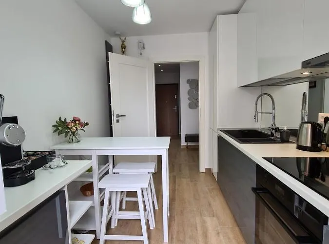 Luxury 2 Bedroom Brasov