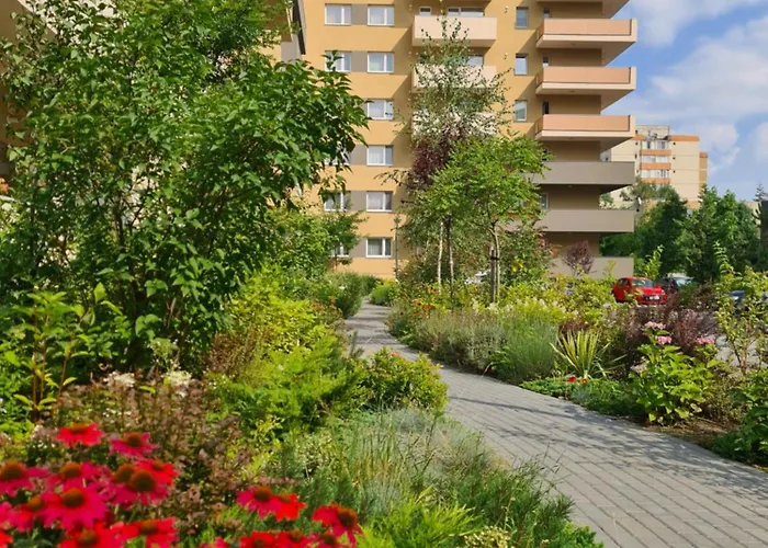 Apartment Luxury 2 Bedroom Brasov